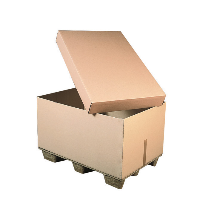 Container en carton avec couvercle