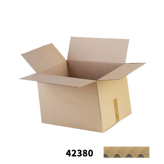 Dozen outlet