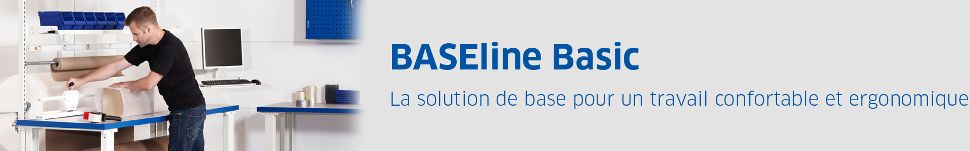BASEline Basic
