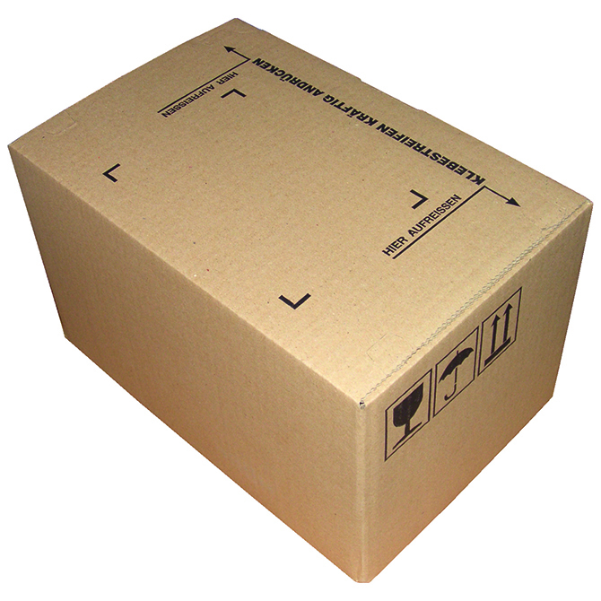 BOX 213x153x109mm F0703 1.2B SK10