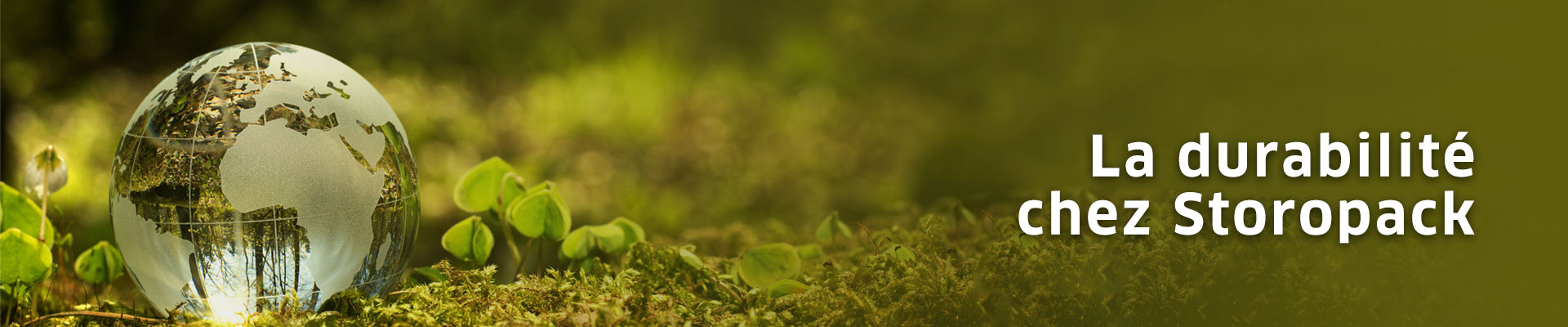 Fullsize_durabilité_1920x400px Fullsize_durabilité_1920x400px