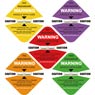 Shock indicator