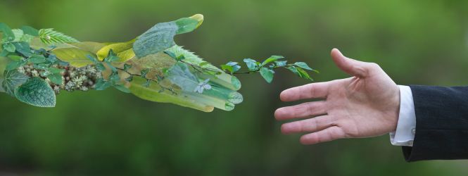Duurzaamheid en optimale bescherming gaan hand in hand Duurzaamheid en optimale bescherming gaan hand in hand